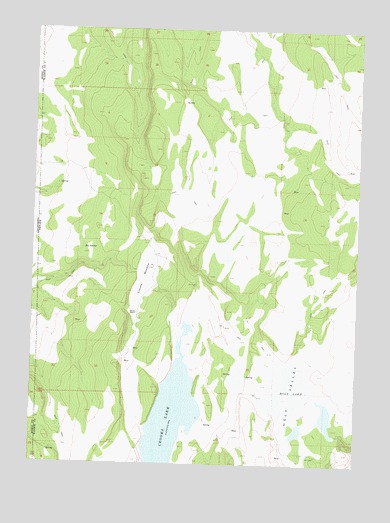 Crooks Meadow, NV USGS Topographic Map