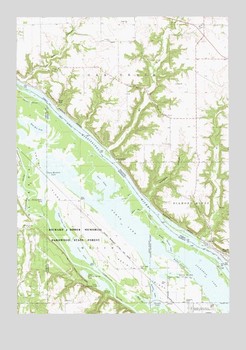 Diamond Bluff West, WI USGS Topographic Map