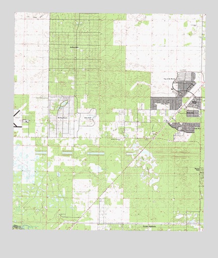 Dunnellon SE, FL USGS Topographic Map