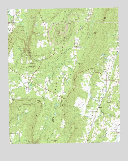 Durham, GA USGS Topographic Map