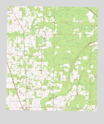 Ellisville, FL USGS Topographic Map