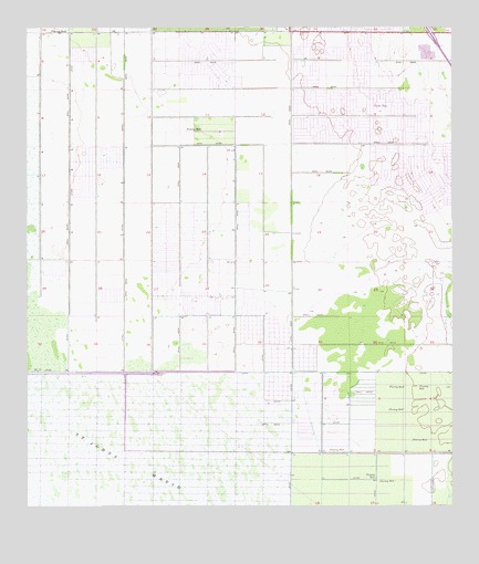 Fellsmere NW, FL USGS Topographic Map