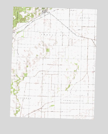 Forest City, IL USGS Topographic Map