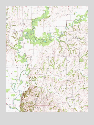 Forest Green, MO USGS Topographic Map