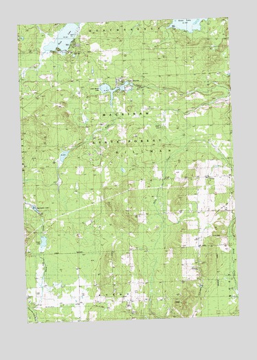 Atlanta SE, MI USGS Topographic Map