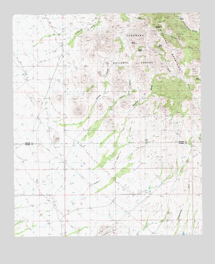 Greasewood Mountain, AZ USGS Topographic Map