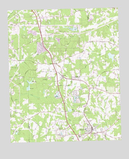 Hampton, GA USGS Topographic Map