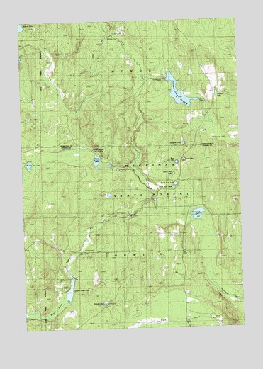 Hardwood Lake, MI USGS Topographic Map