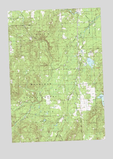 Avery, MI USGS Topographic Map