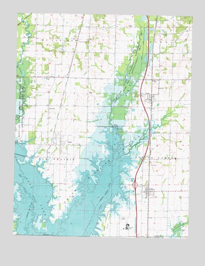 Ina, IL USGS Topographic Map