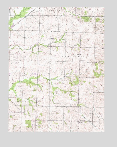 Indian Grove, MO USGS Topographic Map