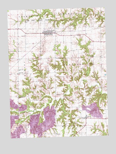 Ipava, IL USGS Topographic Map