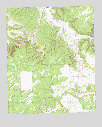 Jones Ranch School, NM USGS Topographic Map