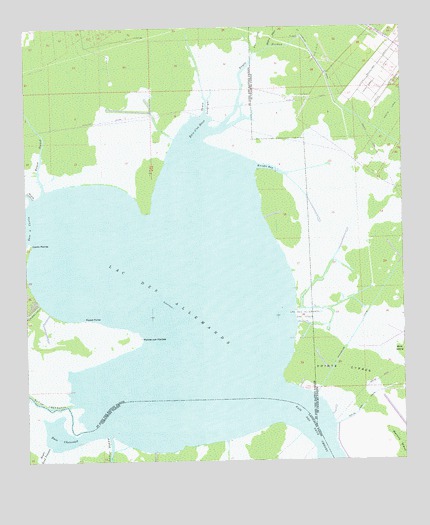 Lac des Allemands, LA USGS Topographic Map