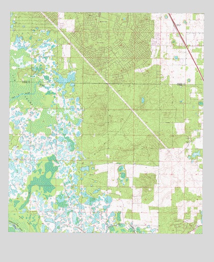 Lake Panasoffkee NW, FL USGS Topographic Map