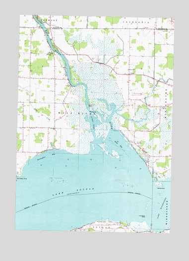 Lake Poygan, WI USGS Topographic Map