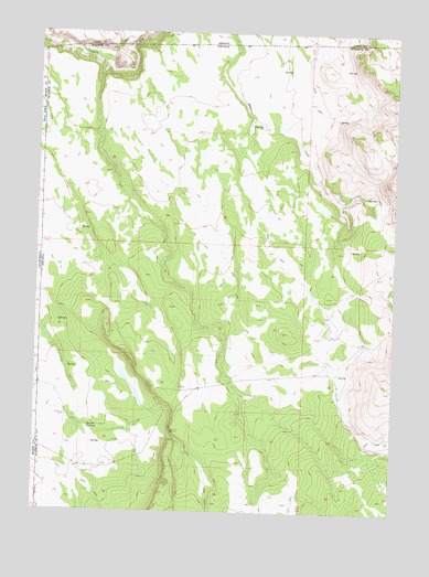 Barrel Springs, NV USGS Topographic Map
