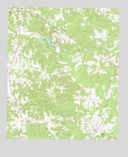 Lanier, TX USGS Topographic Map