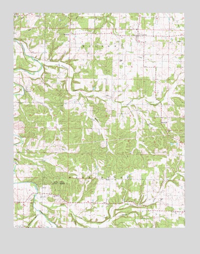 Long Lane, MO USGS Topographic Map