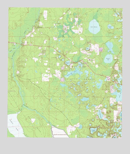 Lynne, FL USGS Topographic Map