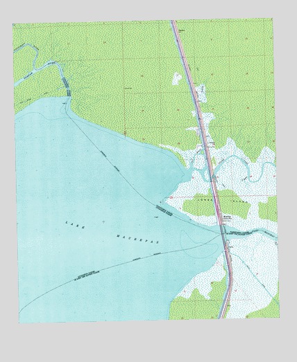 Manchac, LA USGS Topographic Map