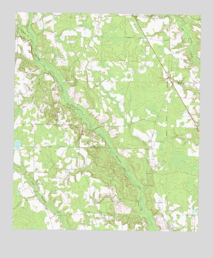 Nicholls NE, GA USGS Topographic Map