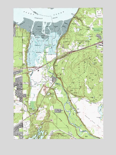 Nisqually, WA USGS Topographic Map