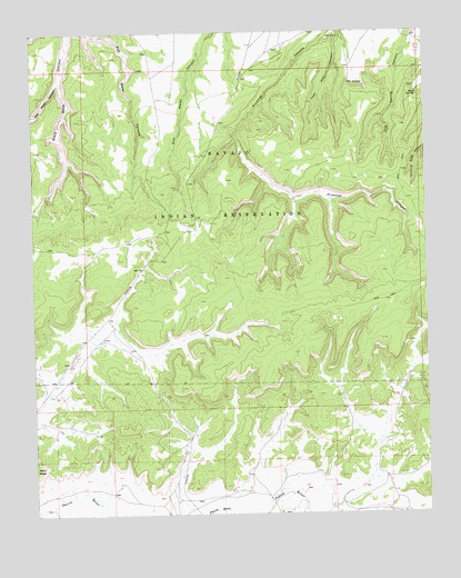 Oak Spring, NM USGS Topographic Map