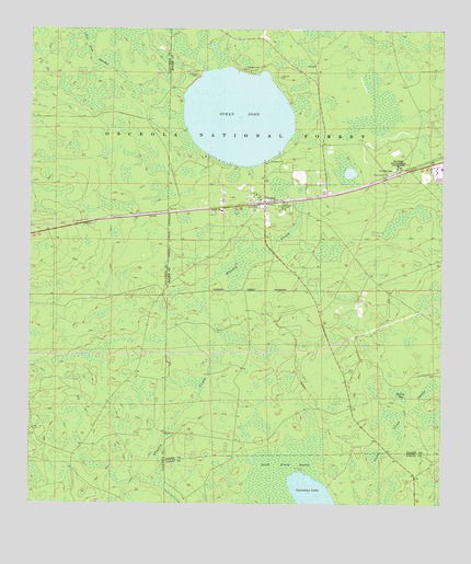 Olustee, FL USGS Topographic Map
