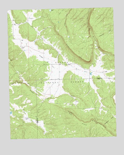 Page, NM USGS Topographic Map