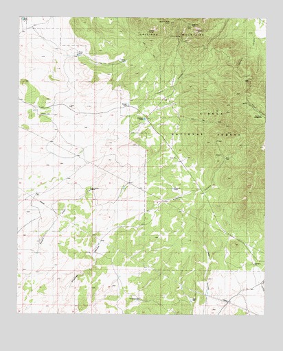 Pajaro Canyon, NM USGS Topographic Map