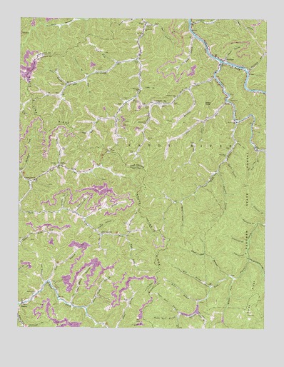 Panther, WV USGS Topographic Map