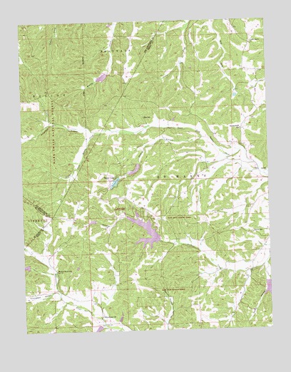 Parker Lake, MO USGS Topographic Map
