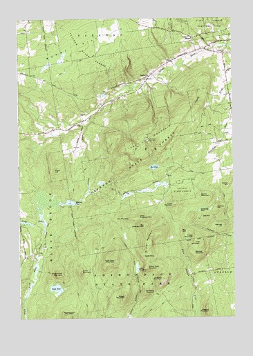 Peasleeville, NY USGS Topographic Map