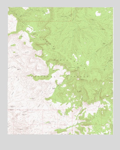 Picture Mountain, AZ USGS Topographic Map