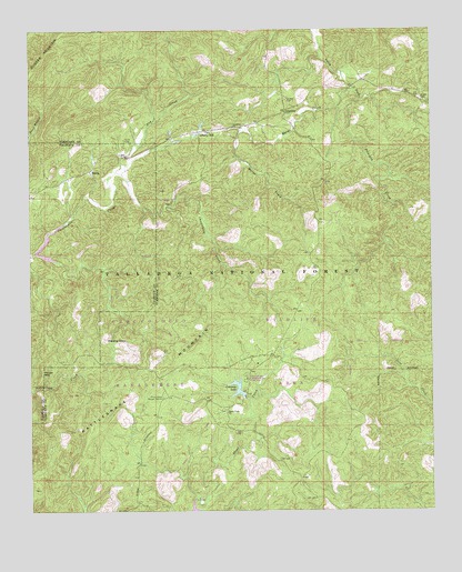 Piedmont SE, AL USGS Topographic Map