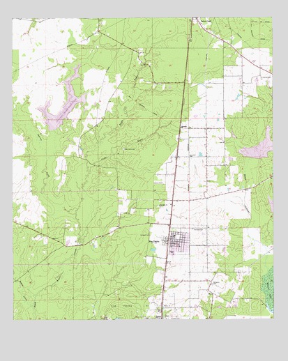Pine Prairie, LA USGS Topographic Map