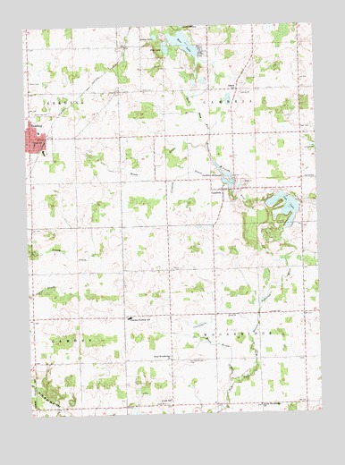 Reading, MI USGS Topographic Map