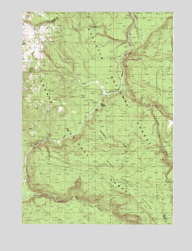 Reas Pass, ID USGS Topographic Map