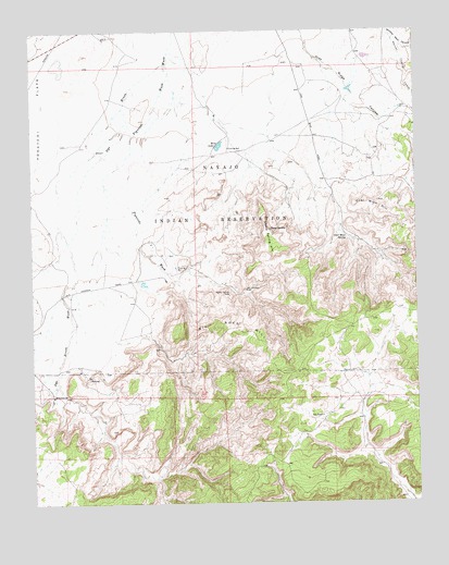 Big Rock Hill, NM USGS Topographic Map