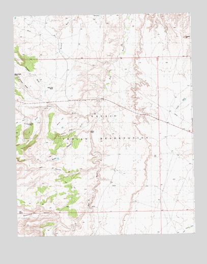 Rocky Point, NM USGS Topographic Map