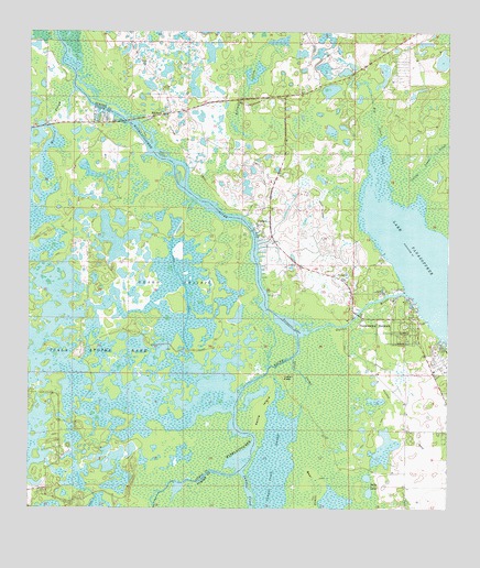 Rutland, FL USGS Topographic Map