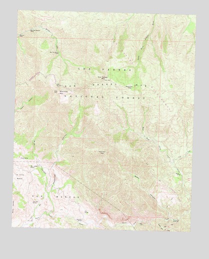 San Rafael Mountain, CA USGS Topographic Map