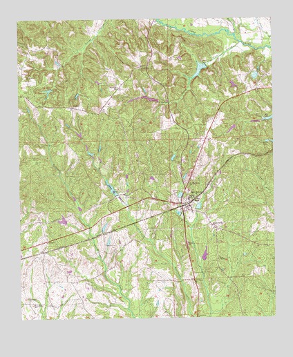 Seale, AL USGS Topographic Map