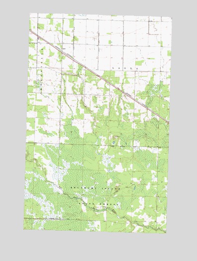 Swift, MN USGS Topographic Map