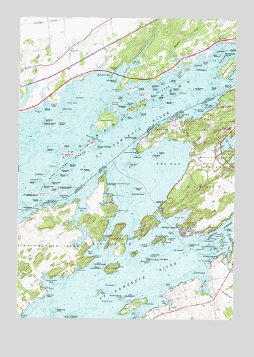 Thousand Island Park, NY USGS Topographic Map