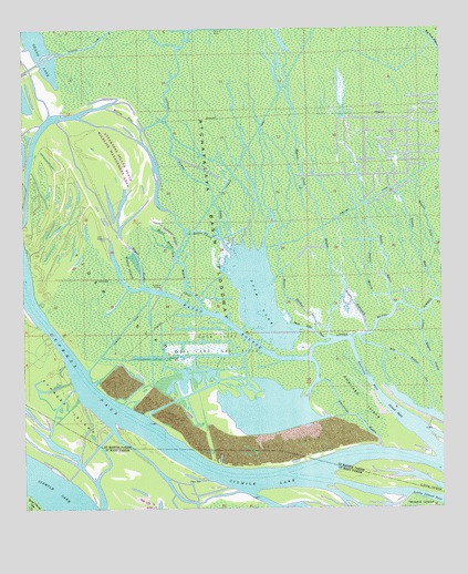 Tiger Island, LA USGS Topographic Map