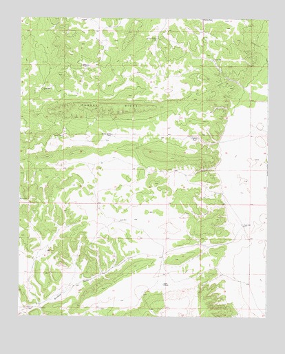 Turkey Ridge, NM USGS Topographic Map