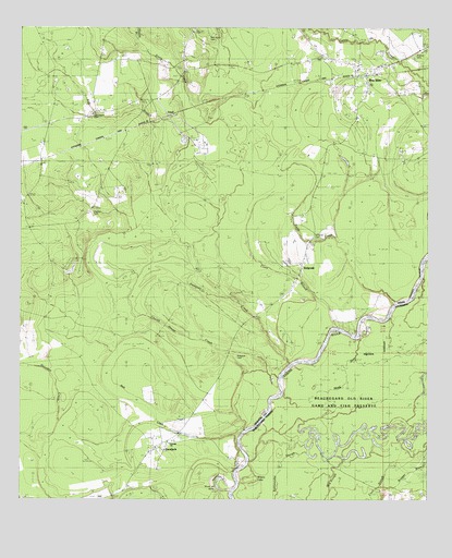 Bon Wier, TX USGS Topographic Map