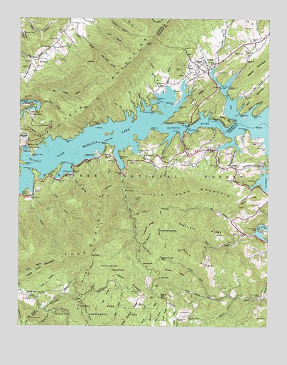 Watauga Dam, TN USGS Topographic Map
